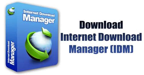 Internet Download Manager 6.41 Build 3 Full .